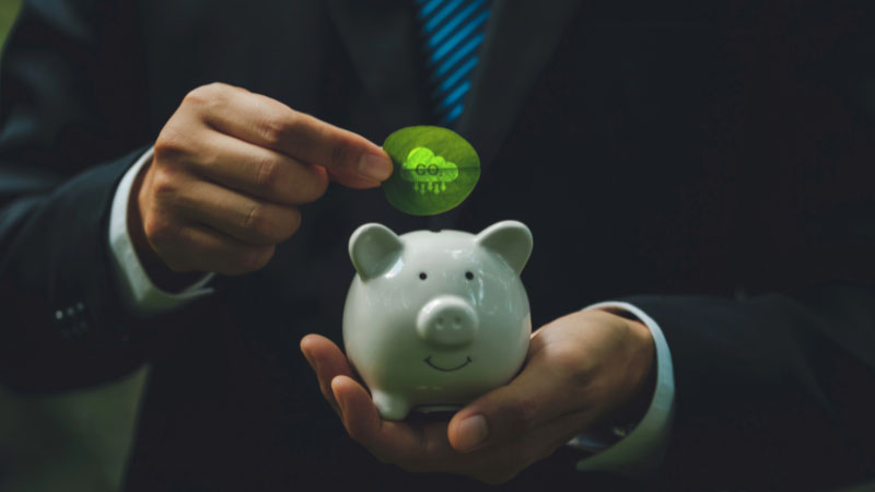 Person inserting leaf into piggy bank