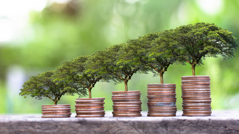 Stack of coins with trees growing out of them