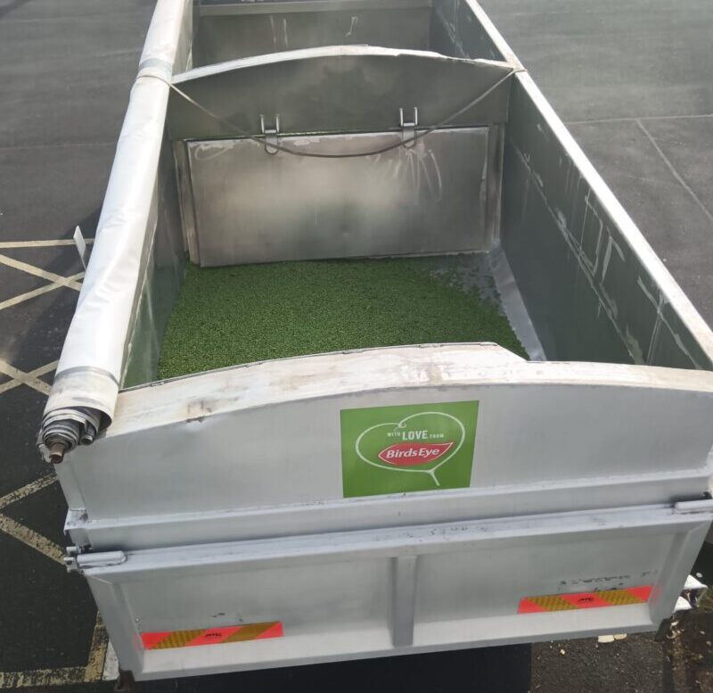 Peas tipped into the back of a lorry on-site at Birds Eye